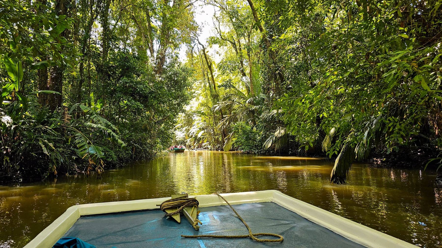 A boat on the canals of Tortuguero National Park, Costa Rica